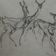 L.H.Jungnickel "Kudufamilie" Kohle auf Papier, 45x55 cm, signiert