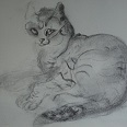 L.H.Jungnickel "liegende Katze" Kohle auf Papier, 24x33 cm