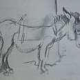 L.H.Jungnickel "Stehender Esel" Kohle auf Papier, 24x33 cm