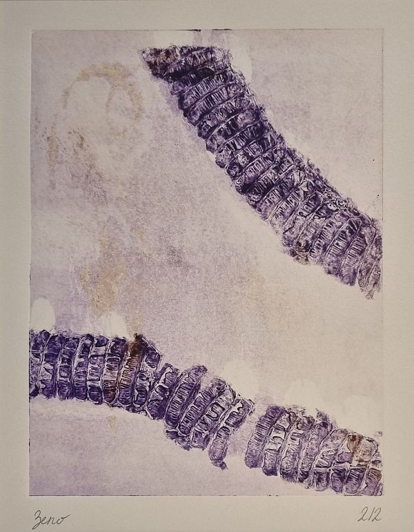 Zeno Wolf "Serpenspellis III" Materialdruck mit Schlangenhaut 22 x 18 cm