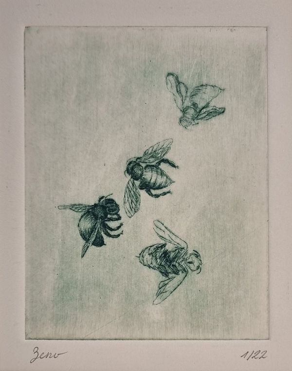 Zeno Wolf "Hummeln" Kaltnadelradierung mit Kupferstaub 12 x 9 cm