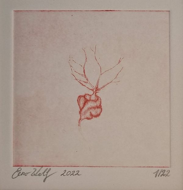 Zeno Wolf "Populus nigra" Diamantennadelradierung 10 x 10 cm