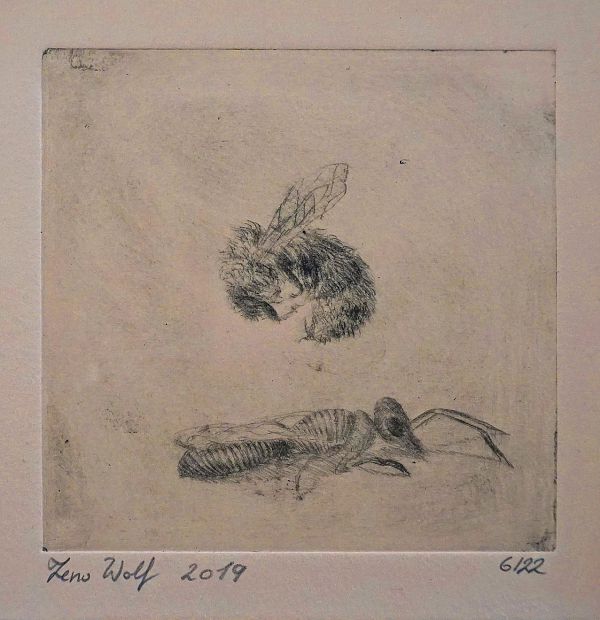 Zeno Wolf "Hummeln mit Goldbiene" 10 x 10 cm