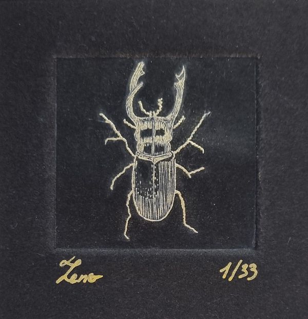 Zeno Wolf "Hirschkäfer" Kupferstich mit Metallstaub 5 x 5 cm