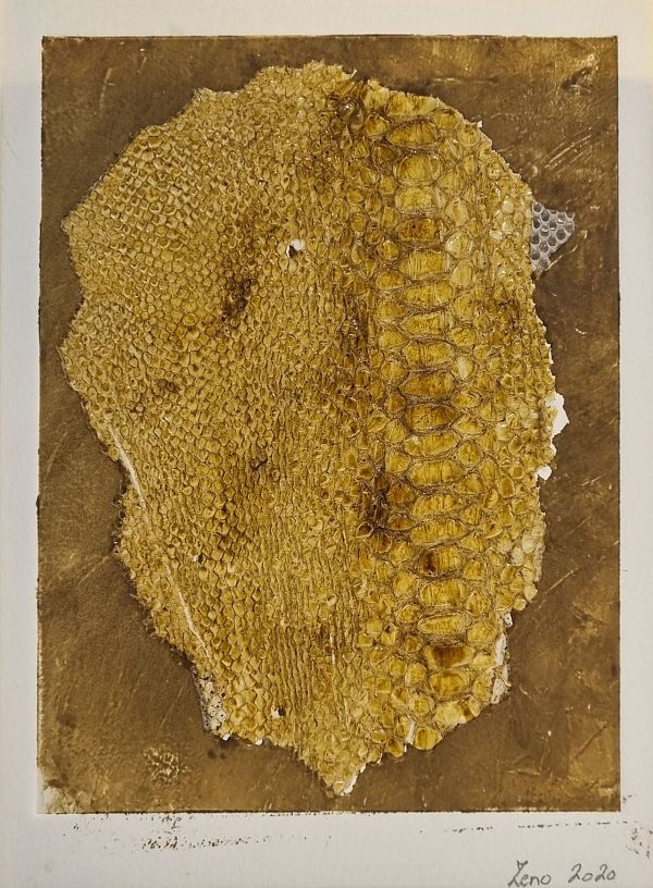 Zeno Wolf "Serpenspellis V- Anaconda" Materialdruck mit Schlangenhaut 20 x 15 cm