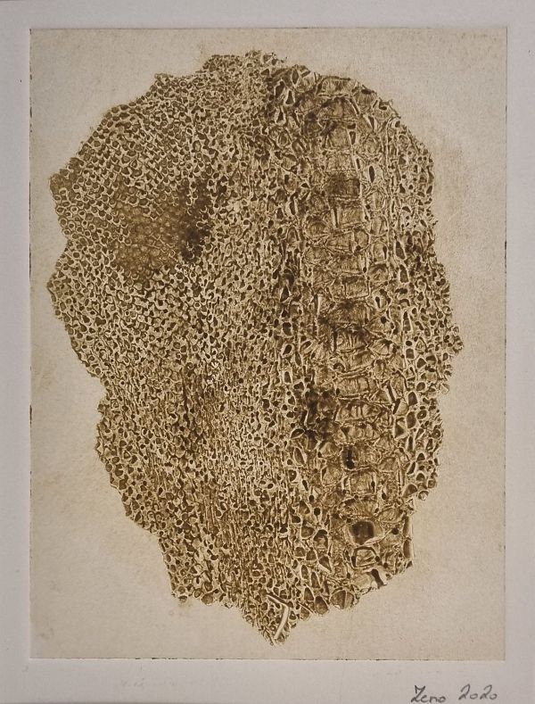Zeno Wolf "Serpenspellis IX-Anaconda" Materialdruck mit Schlangenhaut 20 x 15 cm