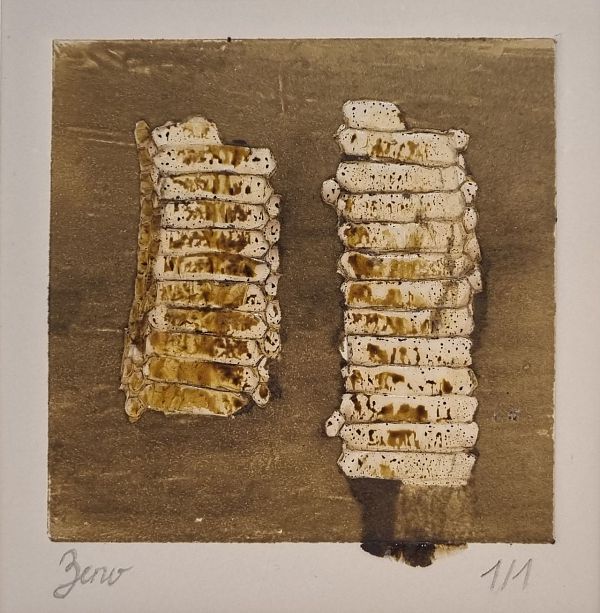 Zeno Wolf "Serpenspellis IV" Materialdruck mit Schlangenhaut 10 x 10 cm