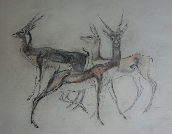L.H.Jungnickel "Drei Gazellen" Mischtechnik auf Papier, 35x47 cm