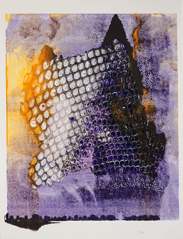 Zeno Wolf "Schatten und Lichtwelten" Materialdruck mit Schlangenhaut 30 x 22 cm