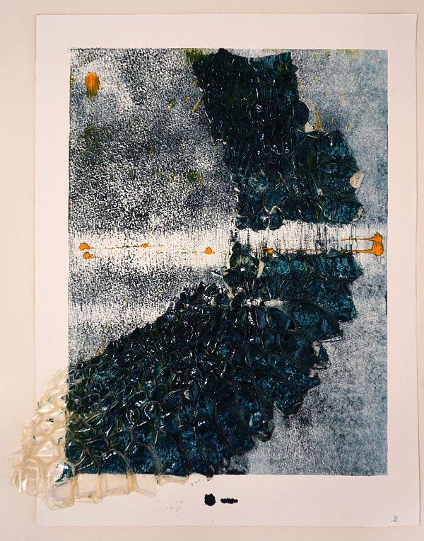 Zeno Wolf "Lichtbruch" Materialdruck mit Schlangenhaut (Anaconda) 48 x 39 cm