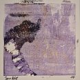Zeno Wolf "Drache- Serpenspellis VIII" Materialdruck mit Schlangenhaut und Tusche 18 x 17 cm