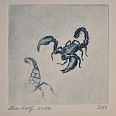 Zeno Wolf "Skorpion" Diamantnadelradierung 10 x 10 cm