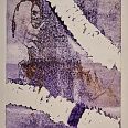 Zeno Wolf "Harlekin" Materialdruck mit Schlangenhaut 20 x 15 cm