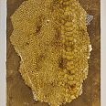 Zeno Wolf "Serpenspellis V" Materialdruck mit Schlangenhaut (Anaconda) 20 x 15 cm