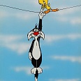 Looney Tunes "Bird on a wire" Sericel Limited Edition 36 x 27 cm