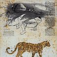 Bodo Klös "Wild Cat" Radierung 49 x 39 cm