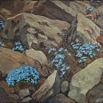 Eduard Handel Mazzetti "Felsen mit Schusternagelen" 1942  Öl auf Karton 60 x 80 cm