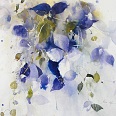 Heinz Hofer "Klematis" Aquarell 44 x 61 cm