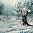 Heinz Hofer "Olivenbäume im Winter" Aquarell 30 x 46 cm
