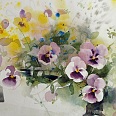 Heinz Hofer "Stiefmütterchen" Aquarell 30 x 41 cm