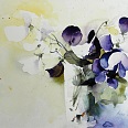 Heinz Hofer "Wicken" Aquarell 30 x 41 cm
