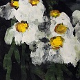 Klaus Fussmann "Margeriten" Gouache 15 x 22 cm