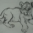 L.H.Jungnickel "junger liegender Löwe" Kohle auf Papier, 24x35 cm
