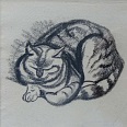 L.H.Jungnickel "schlafendes junges Kätzchen" Kohle auf Papier, 19x19 cm