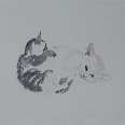 L.H.Jungnickel "spielende Katzenkinder" Mischtechnik auf Papier, 22x28 cm