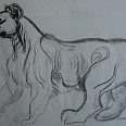 L.H.Jungnickel "Stehender Löwe" Kohle auf Papier, 34x48 cm