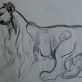 L.H.Jungnickel "Stehender Löwe" Kohle auf Papier, 34x48 cm