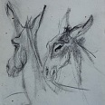 L.H.Jungnickel "Zwei Eselköpfe" Kohle auf Papier, 32x24 cm