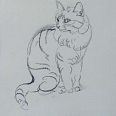 L.H.Jungnickel "sitzende Hauskatze" Kohle auf Papier, 24x19 cm