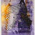 Zeno Wolf "Schatten und Lichtwelten" Materialdruck mit Schlangenhaut 30 x 22 cm