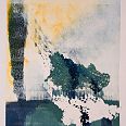 Zeno Wolf " Seelandschaft" Materialdruck mit Schlangenhaut 49 x 35 cm
