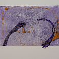 Zeno Wolf "Eine imaginäre Begegnung" Materialdruck mit Schlangenhaut 30 x 21,5 cm