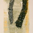 Zeno Wolf "Entwichen" Materialdruck mit Schlangenhaut 27,5 x 19 cm